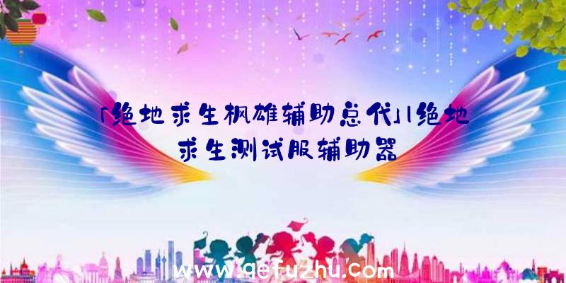 「绝地求生枭雄辅助总代」|绝地求生测试服辅助器